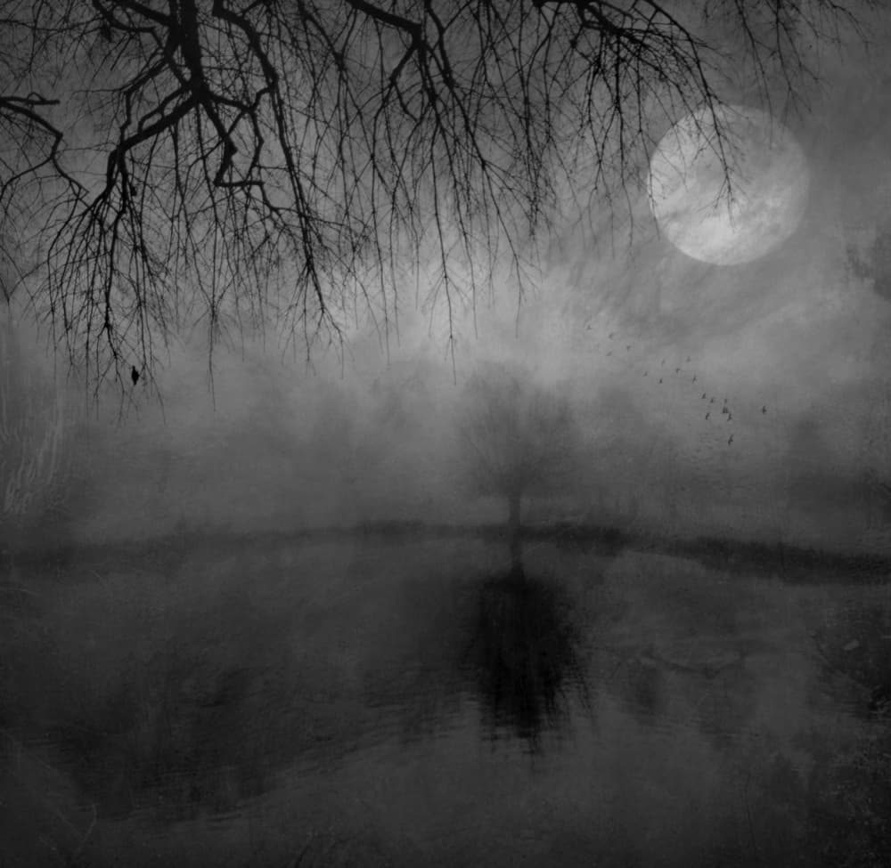 Moonlit Misty Night by Robert Fabrowski — canvas wall art