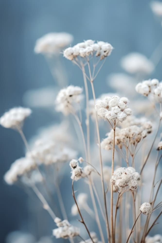 Delicate Whispers by Treechild — canvas wall art