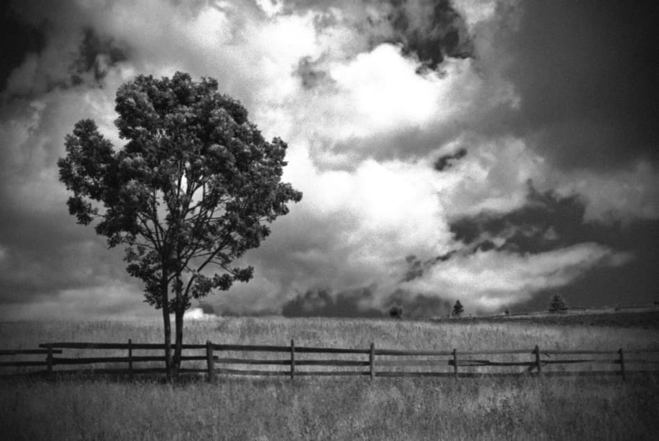 Lone Tree Stormy Sky by Codrin Lupei — canvas wall art