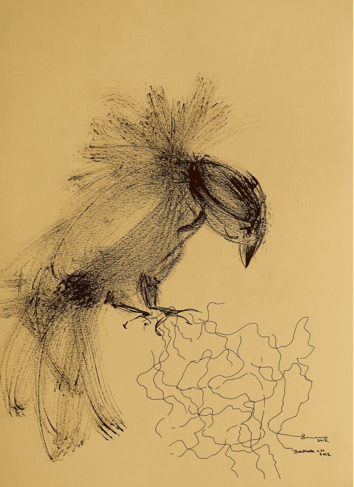 Crested Bird Drawing by Santhosh ch — canvas wall art