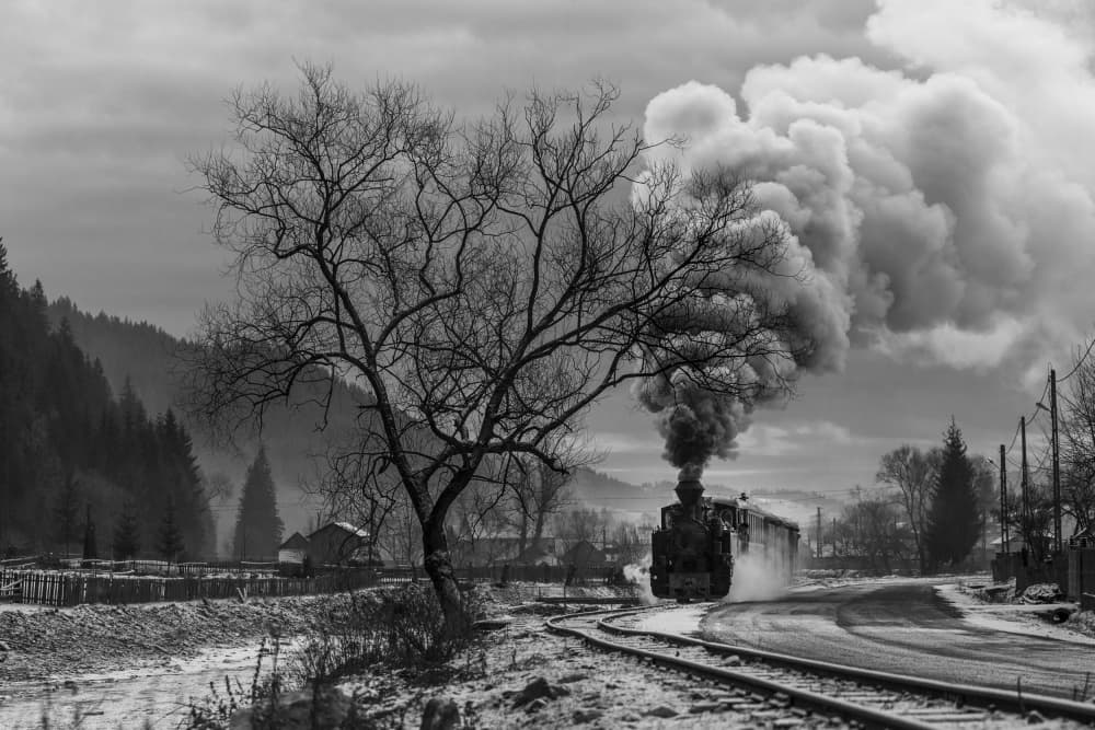 Classic Winter Steam Train by Sveduneac Dorin Lucian — canvas wall art