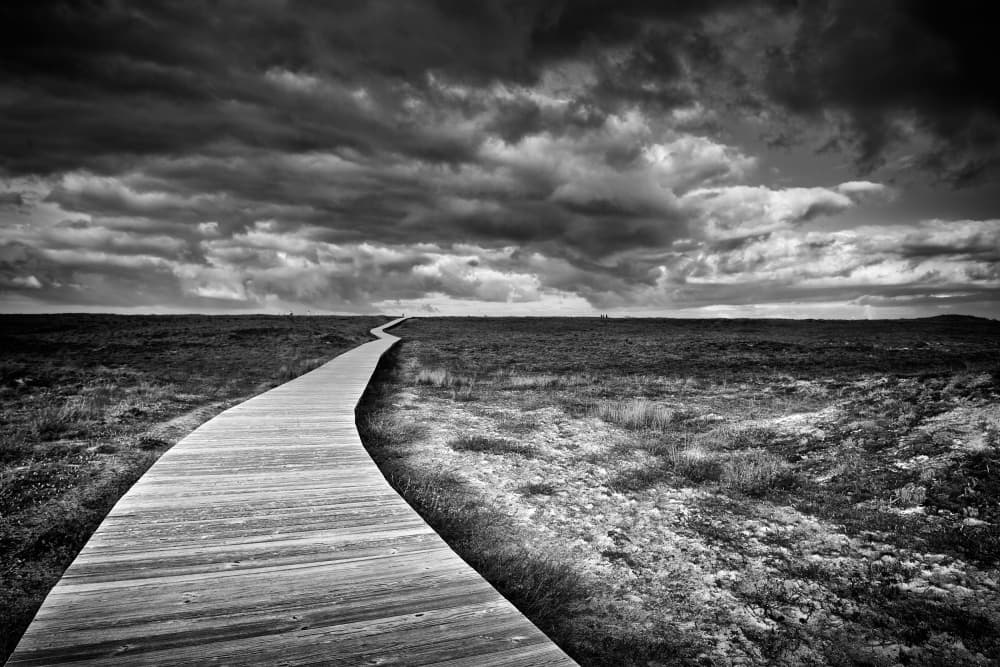 Winding Boardwalk Path by Santiago Pascual Buye — canvas wall art