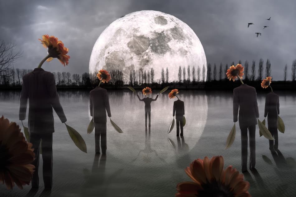 Moonlit Flower Head Figures by Christophe Kiciak — canvas wall art
