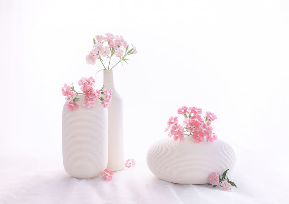 still life 114 by Alice Sheng — canvas wall art