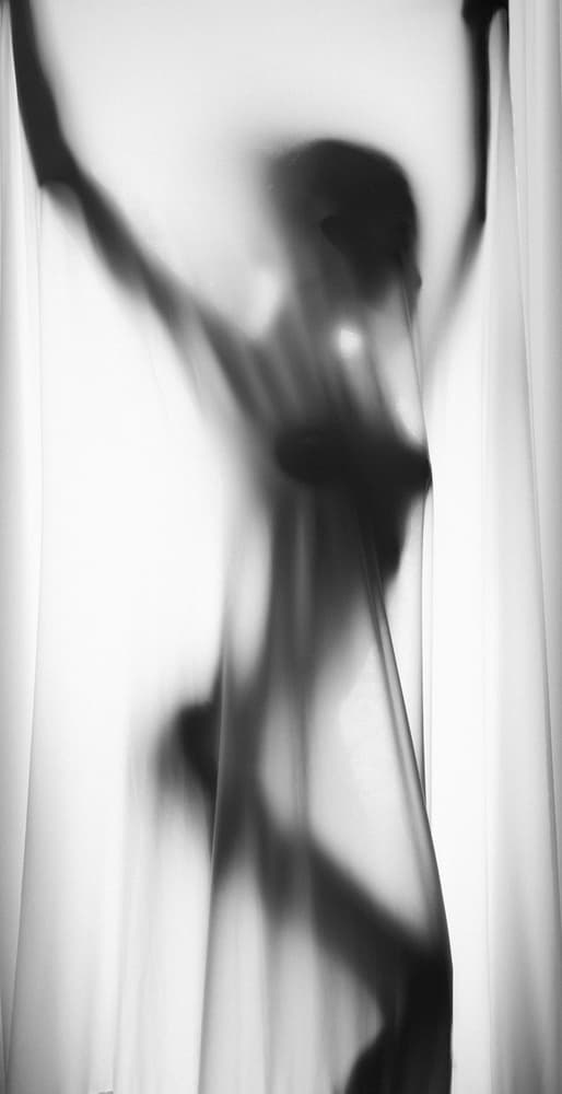 Veiled Silhouette by Sebastian Kisworo — canvas wall art