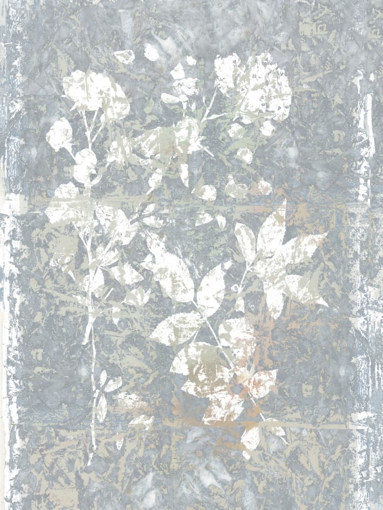 Abstract Grey Botanicals by cartissi — canvas wall art