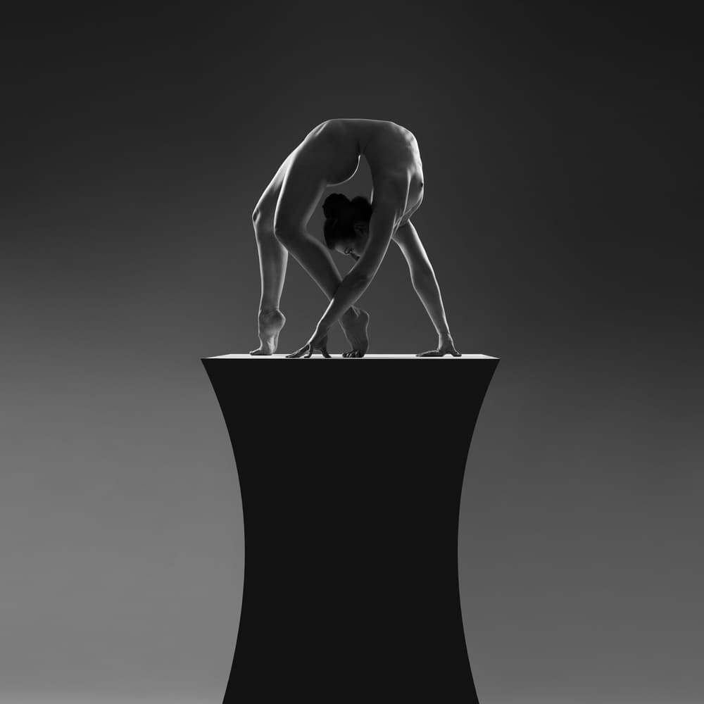 Graceful Contortionist by Bruno Birkhofer — canvas wall art