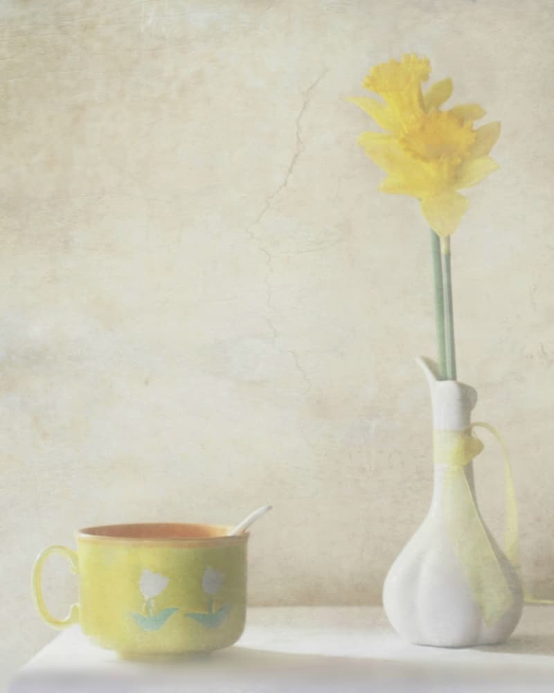 Yellow Daffodil Still Life by Delphine Devos — canvas wall art
