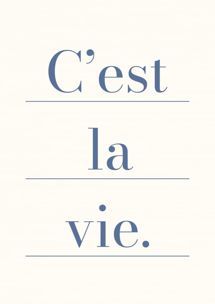 C'est La Vie Quote by FINE FINE STUFF — canvas wall art