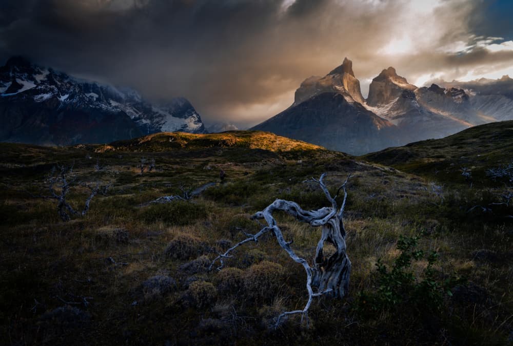 Torres del Paine Golden Light by Bing Li — canvas wall art