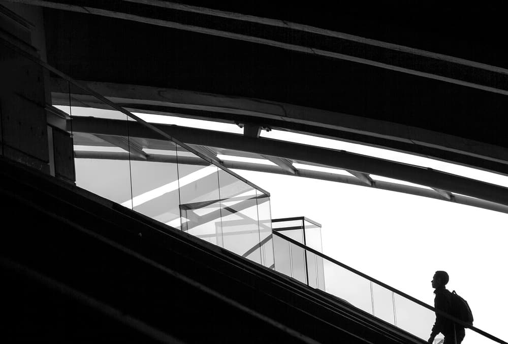 Urban Ascent Silhouette by Fernando Alves — canvas wall art
