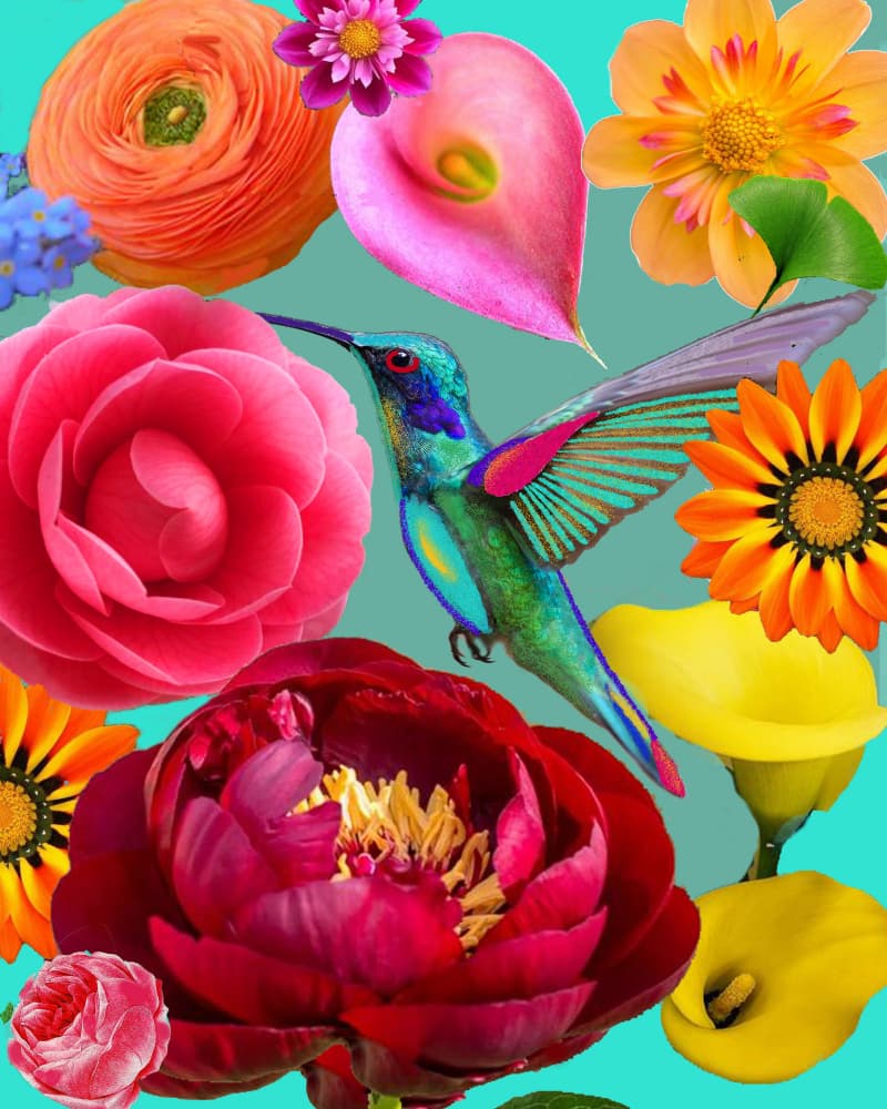 Vibrant Flowers Hummingbird by giovanna nicolo — canvas wall art