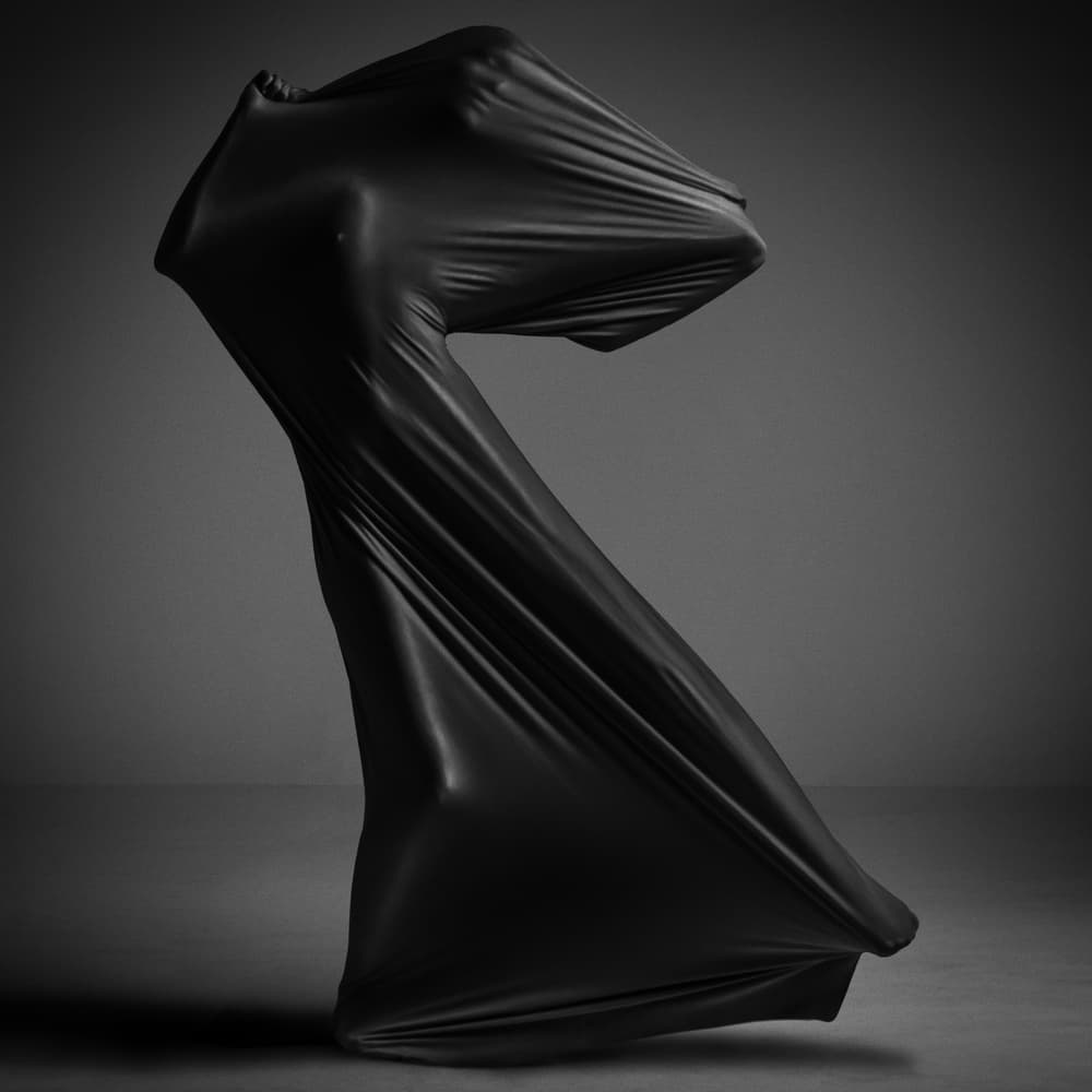 Sculptural Black Form by Jackson Carvalho — canvas wall art