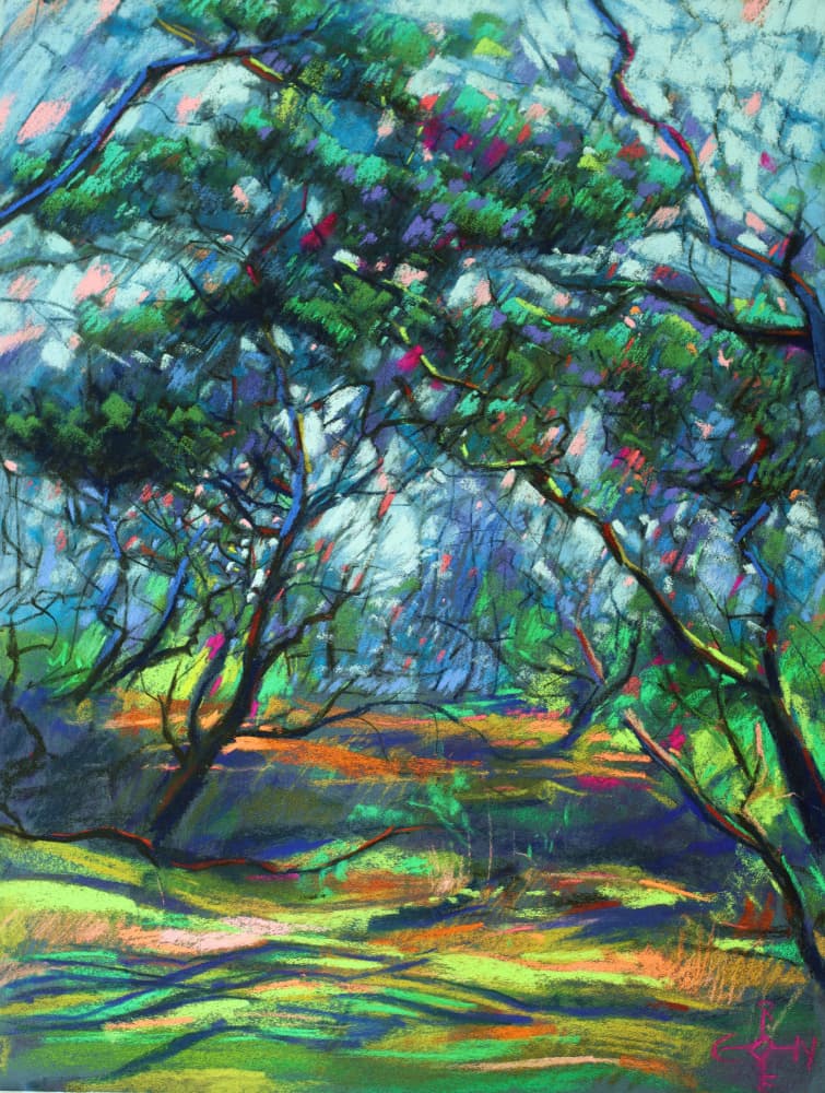 Dappled Forest Path by Corné Akkers — canvas wall art
