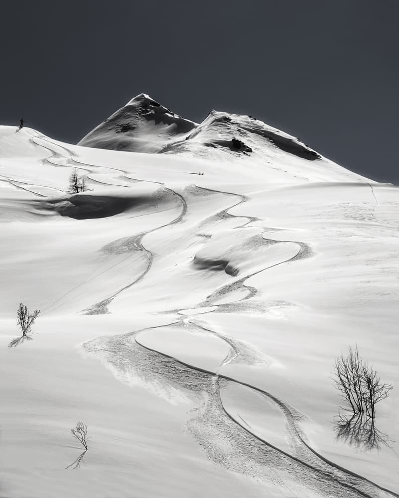 Backcountry Ski Tracks by Uschi Hermann — canvas wall art