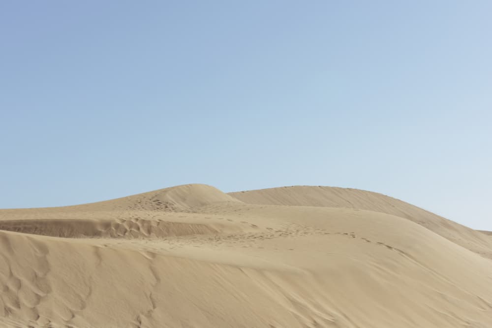 Peaceful Desert Dunes by Lynann Colligan — canvas wall art