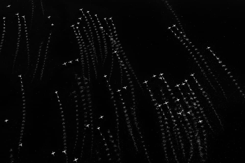 Night Flight Patterns by Henry Zhao — canvas wall art