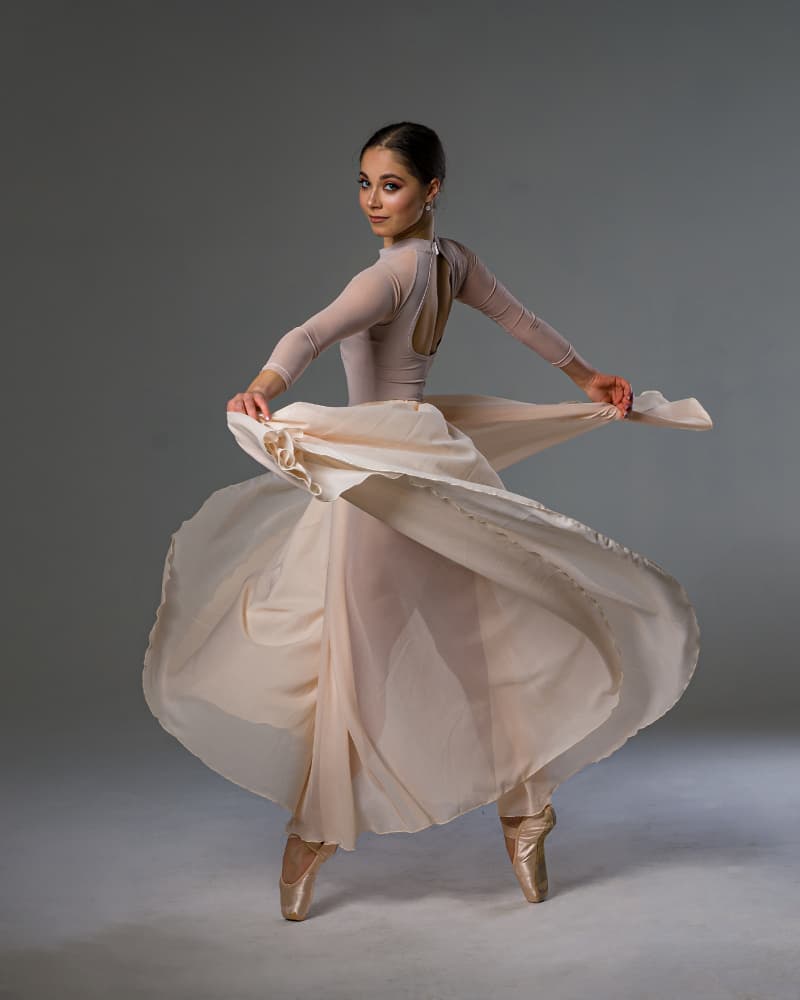 Ballerina's Elegant Spin by Aneta Nikolova — canvas wall art
