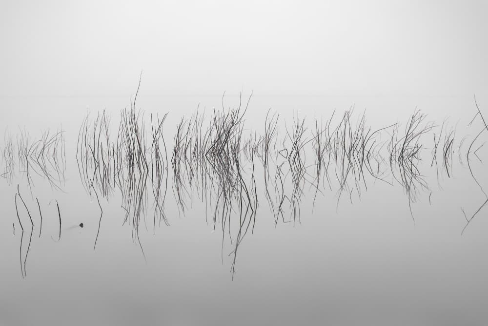 Tranquil Water Reflections by Wei Liu — canvas wall art