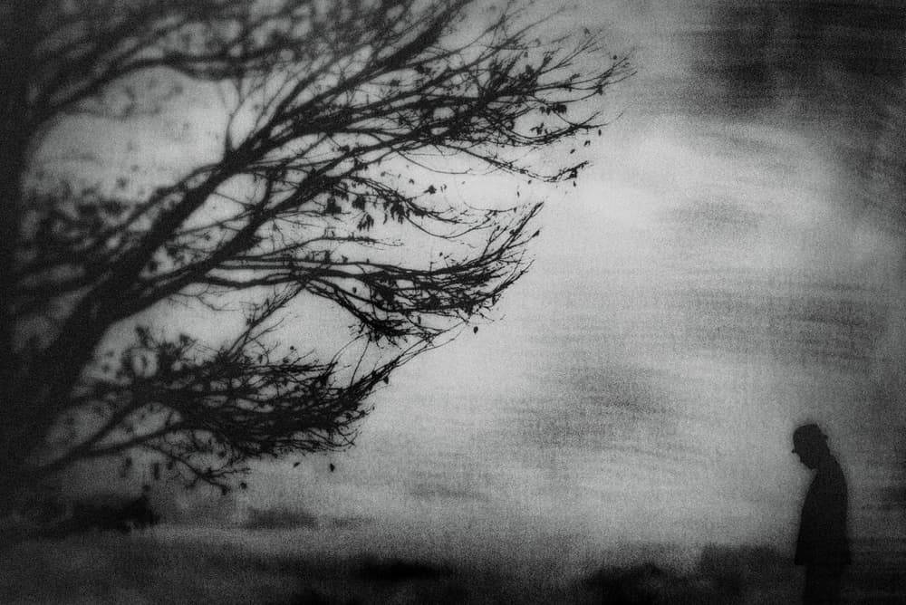 Somber Man Bare Tree by Teruhiko Tsuchida — canvas wall art