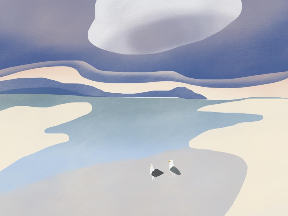 Seagulls On Serene Beach by Little Dean — canvas wall art