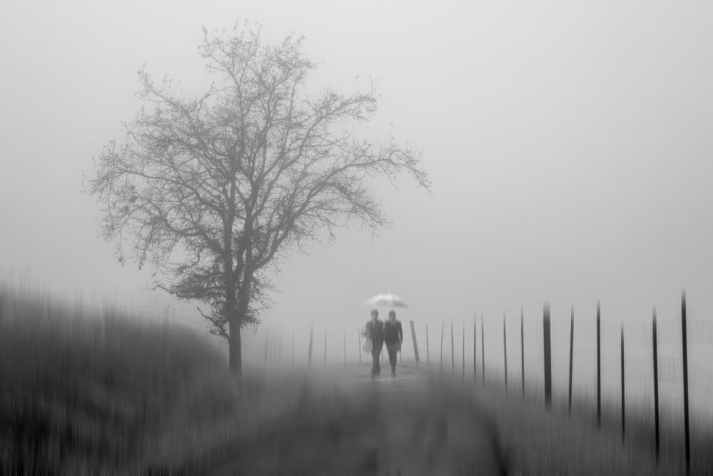 Couple Walking Through Fog by Shin Woo Ryu — canvas wall art
