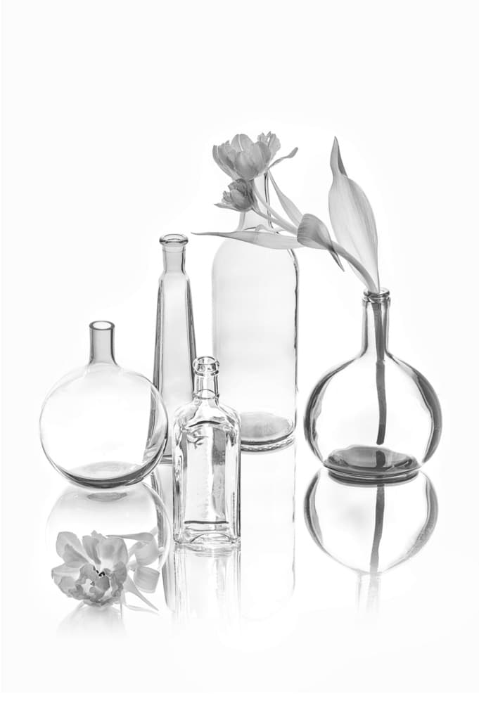 Elegant Glass Tulips by Lydia Jacobs — canvas wall art