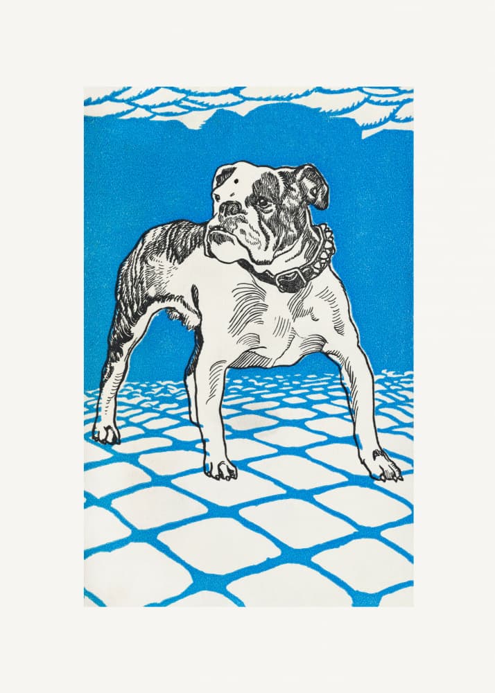 Bulldog by Moriz Jung — canvas wall art