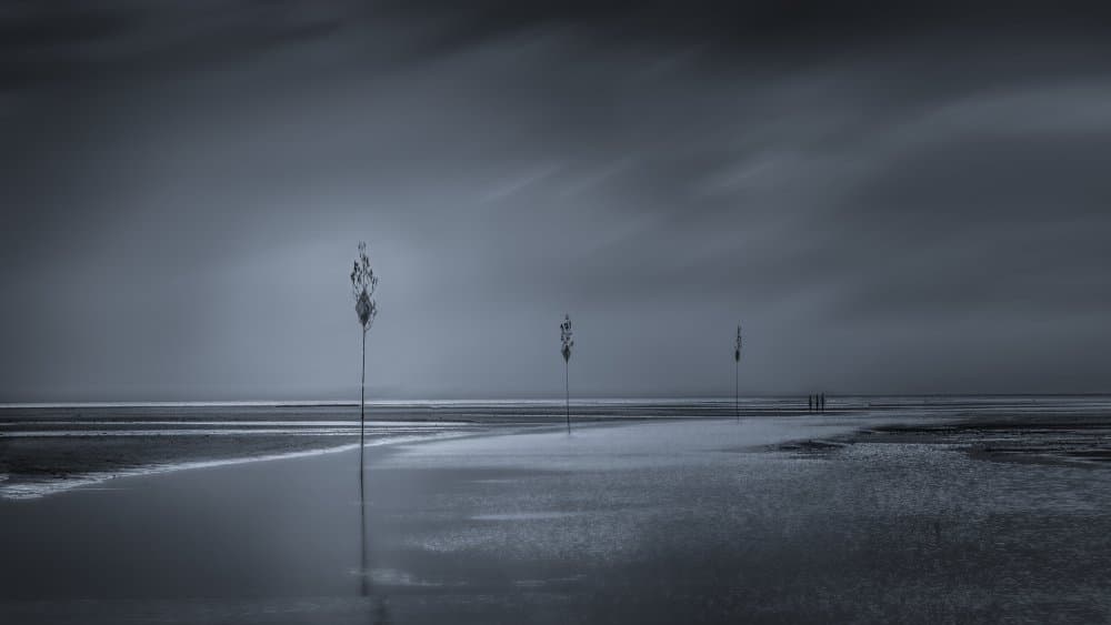Poles On A Grey Coast by Kai Dan — canvas wall art
