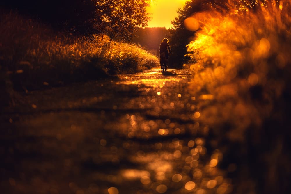 Golden Path Silhouette by Pali Gerec — canvas wall art