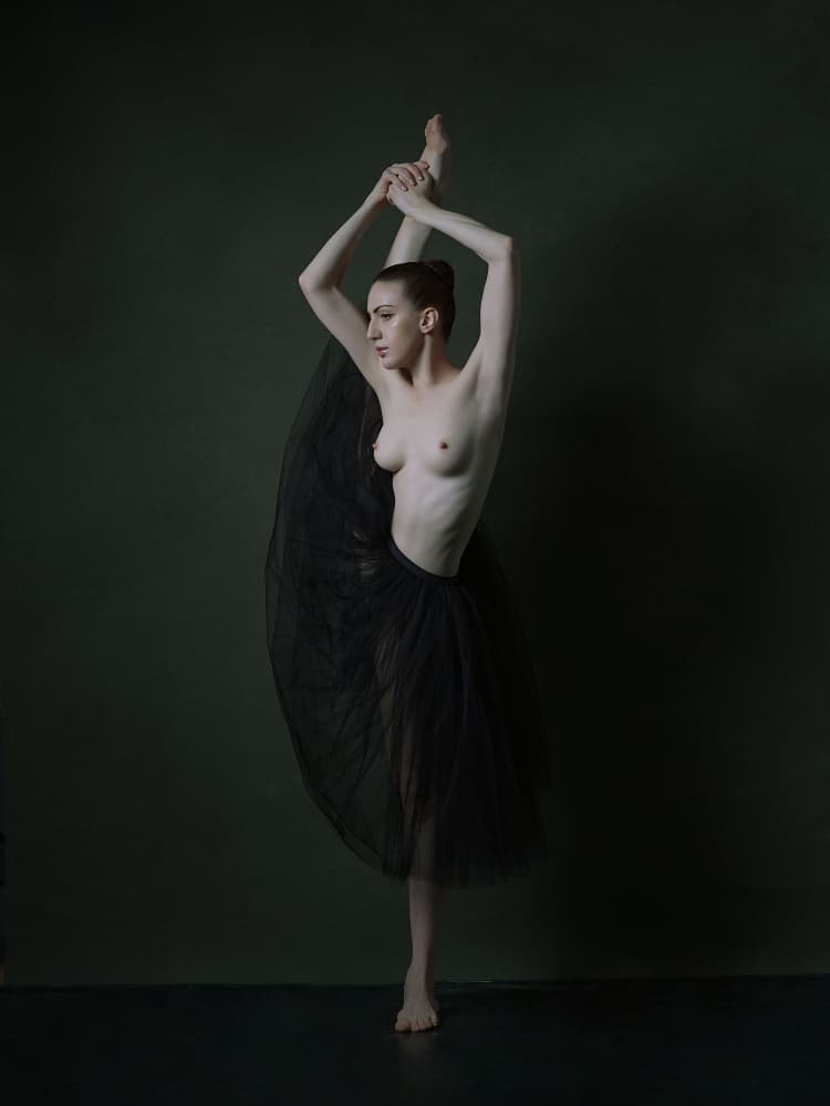 Elegant Ballet Dancer by Zanna — canvas wall art