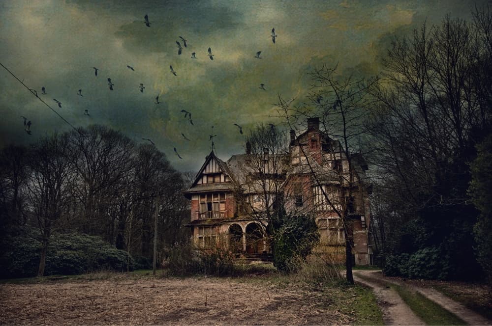 Abandoned Mansion Crows by Monika Vanhercke — canvas wall art