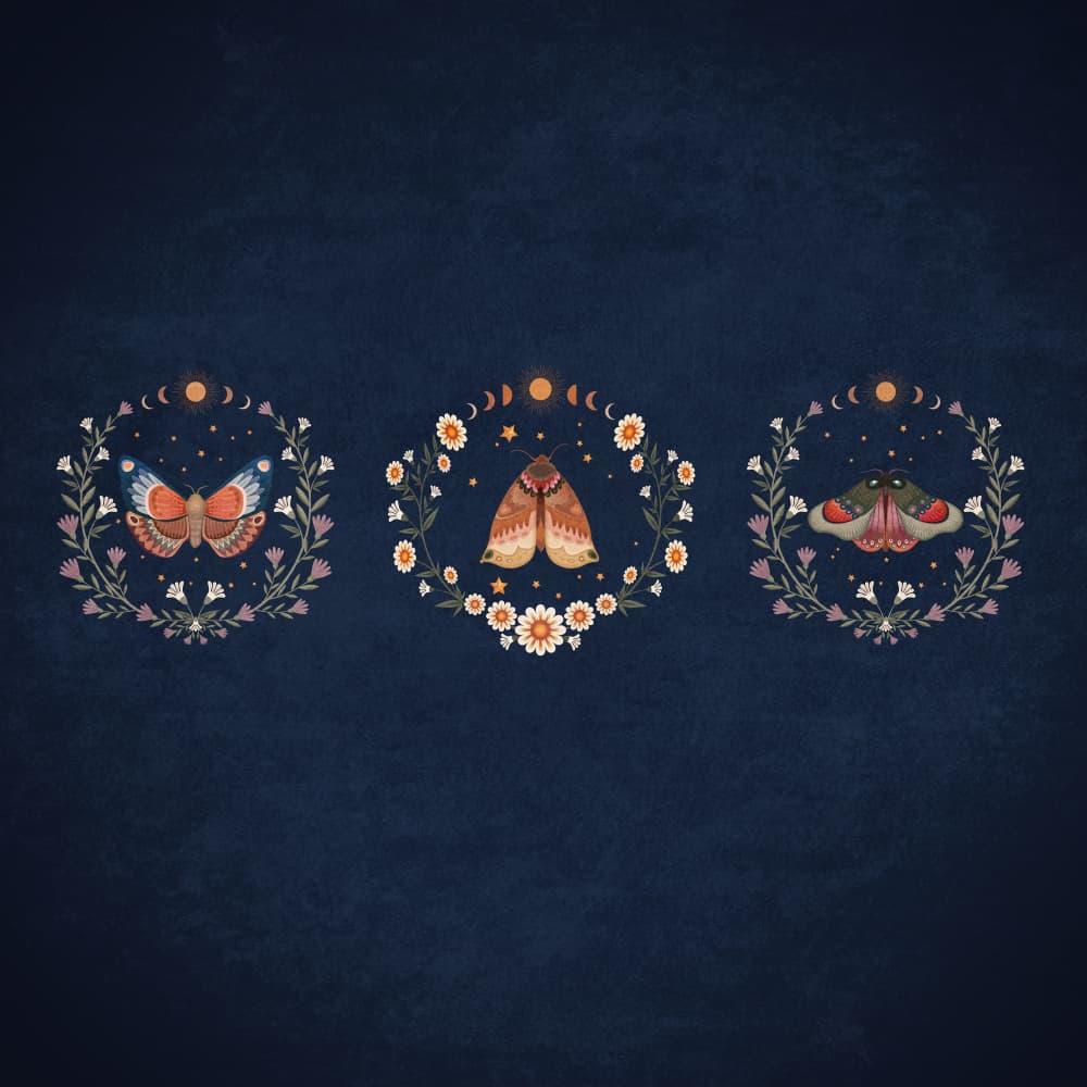 Moonlit Moth Trio by Emel Tunaboylu — canvas wall art