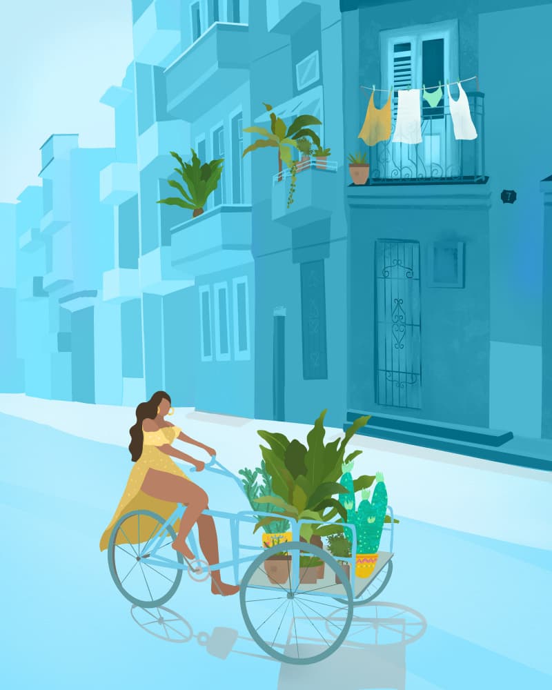 Havana by Petra Lizde — canvas wall art
