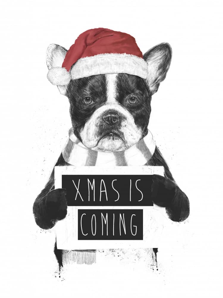 Santa French Bulldog Coming by Balazs Solti — canvas wall art