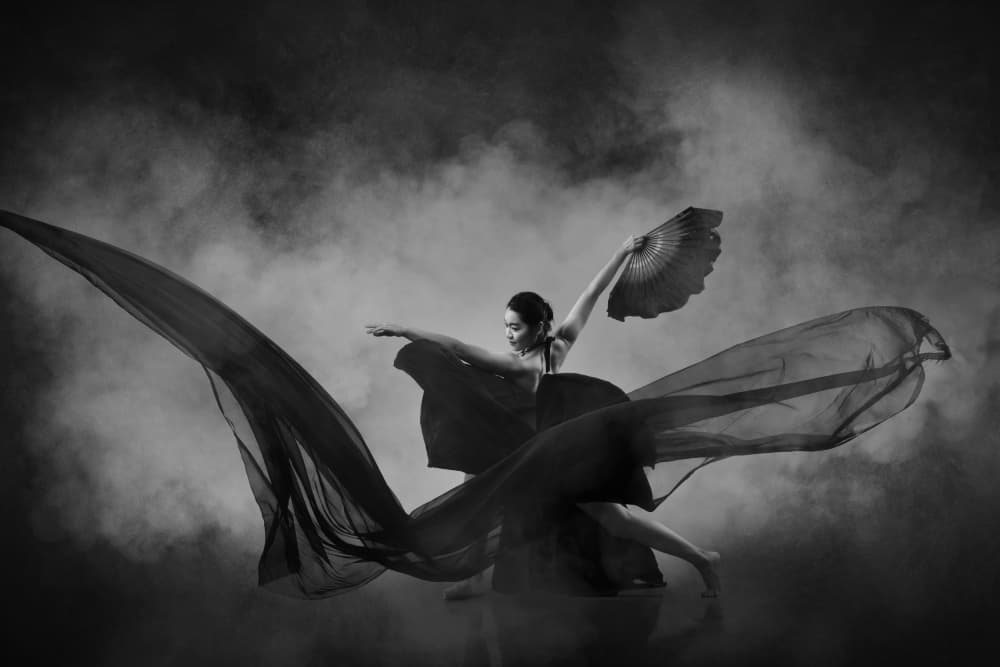 Graceful Fan Dance by Rob Li — canvas wall art