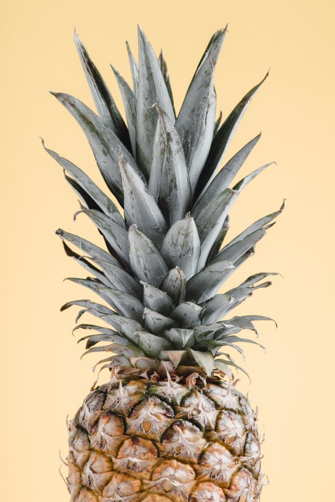 Golden Pineapple Fruit by Pictufy Studio III — canvas wall art