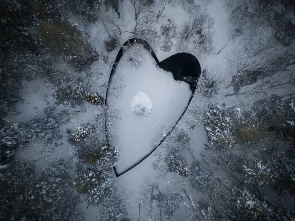 Snowy Heart Forest by Ambar Saha — canvas wall art