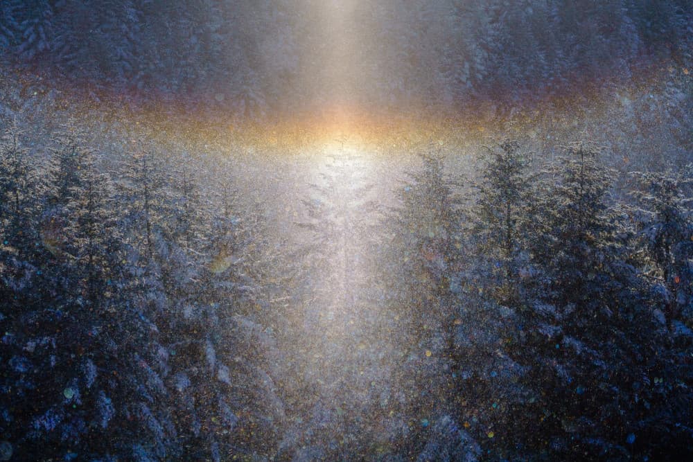 Winter Forest Sun Halo by 土屋正英/Masahide Tsuchiya — canvas wall art