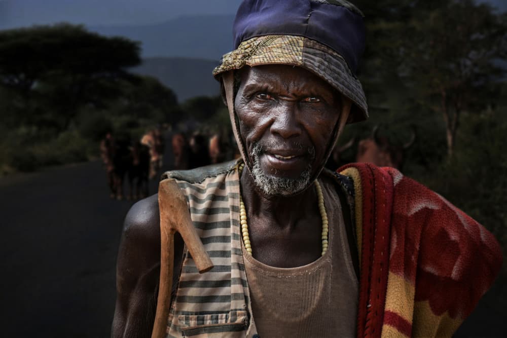 Old African Man Gaze by Irene Perovich — canvas wall art