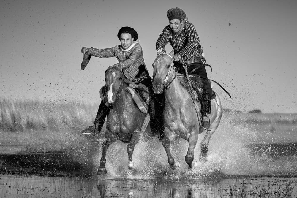 Galloping Horses Splash by Birgith Norelli — canvas wall art