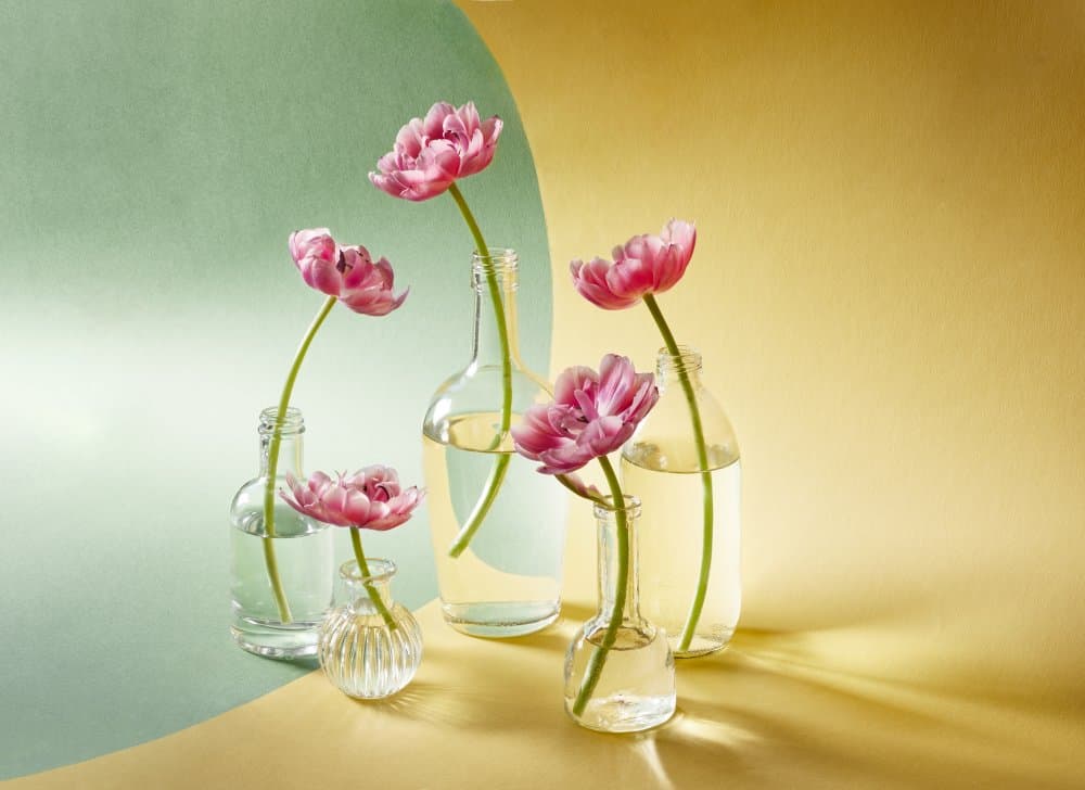 Soft Pink Tulips by Alena — canvas wall art