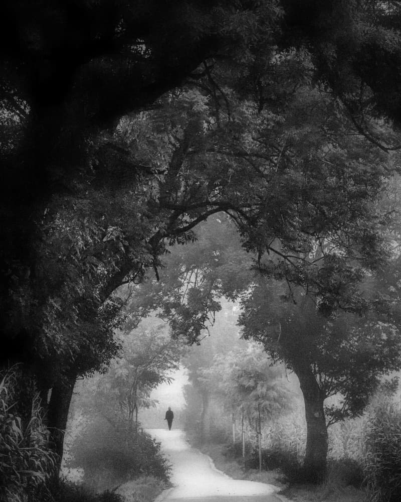 Man on Misty Path by Renate Wasinger — canvas wall art