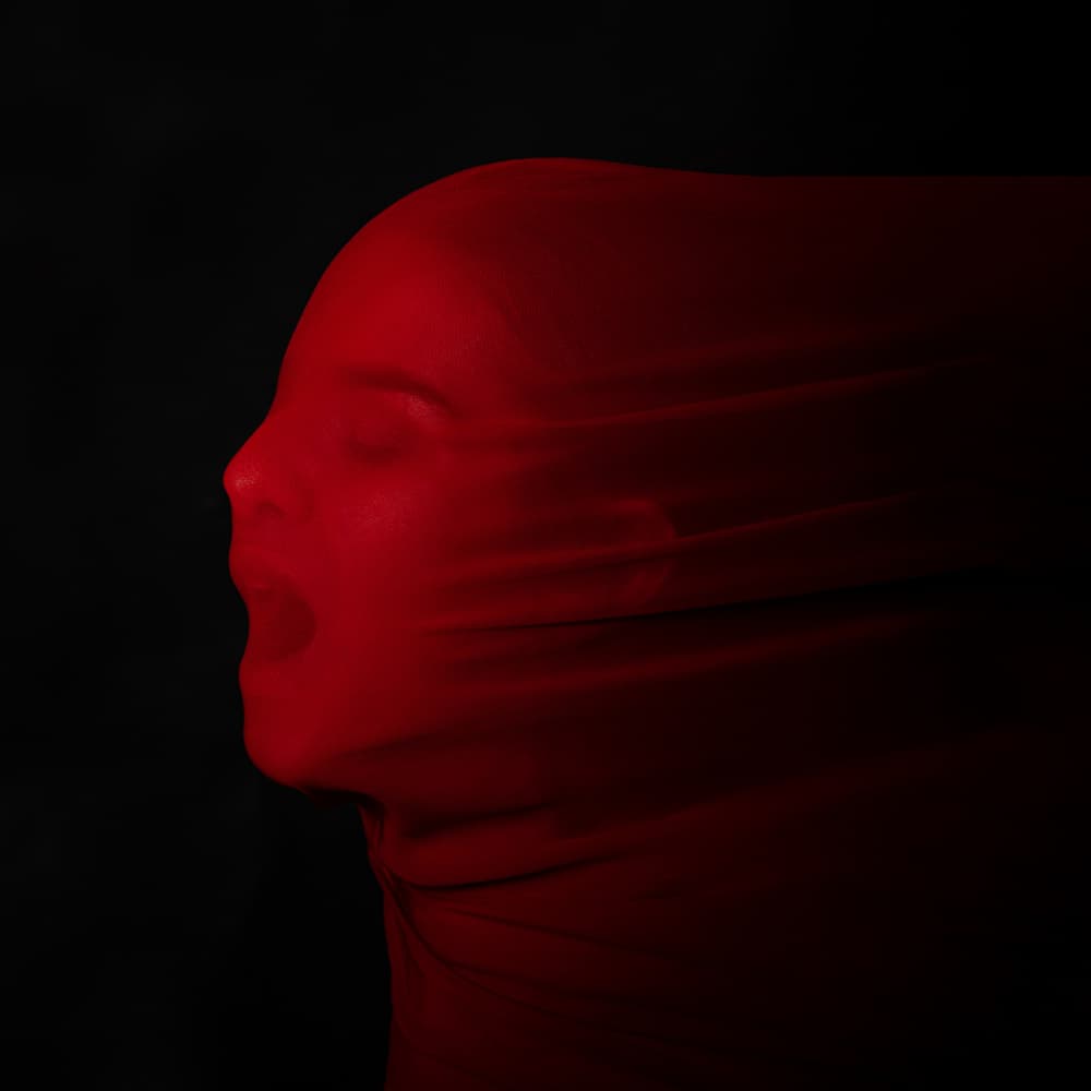 Red Scream by Mikhail Trishchenkov — canvas wall art