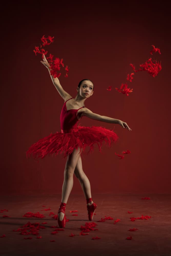 Crimson Feather Ballet by Sita Gramich — canvas wall art