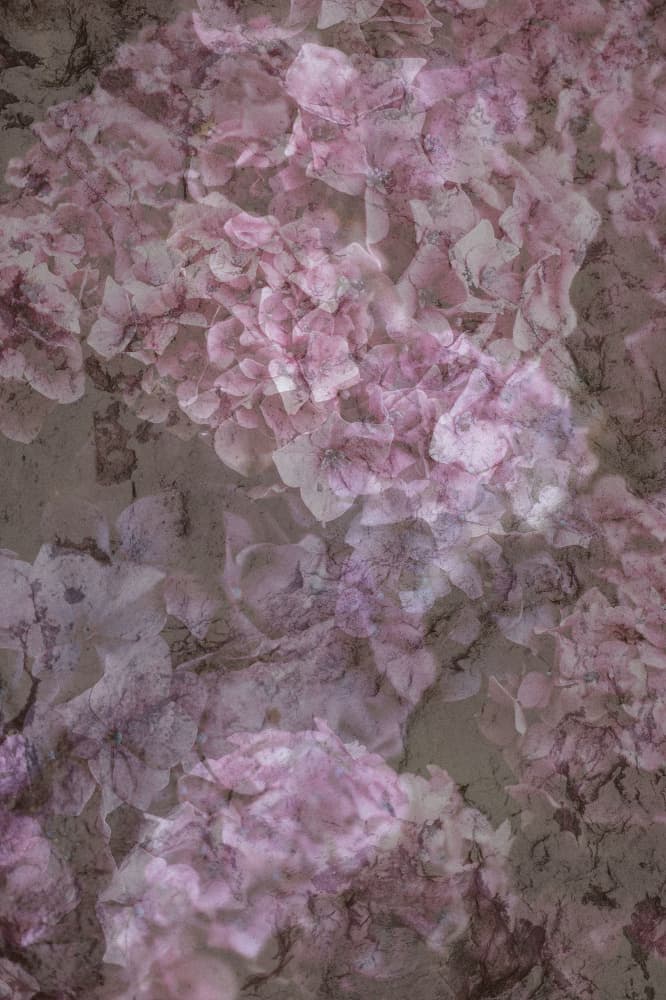 Spring #19.png by Pelin Atilla — canvas wall art