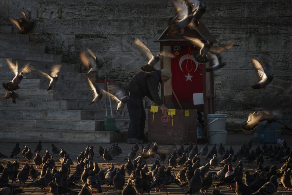 Istanbul Pigeon Feeder by Pavol Stranak — canvas wall art