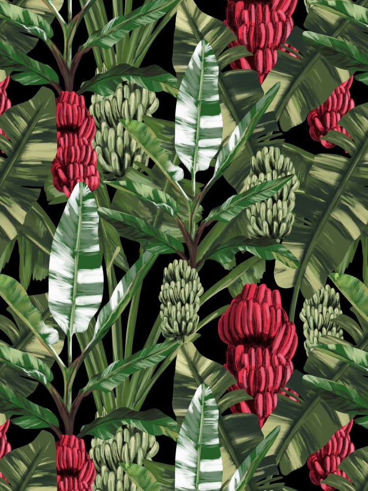 Banano Leaves Pattern by Anis Illustration — canvas wall art