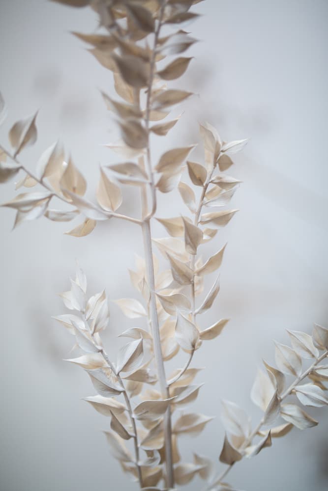 Last Summer 7 by Mareike Böhmer — canvas wall art