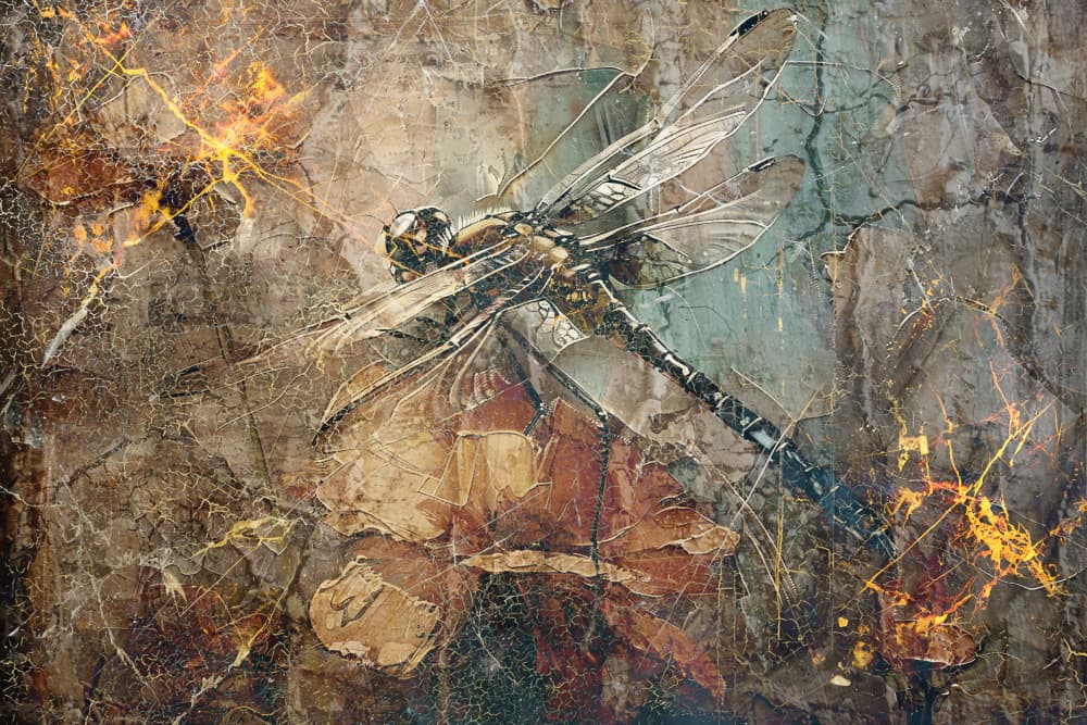 Cracked Gold Dragonfly by Rafal Kulik — canvas wall art